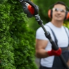 Z Tree Experts gallery