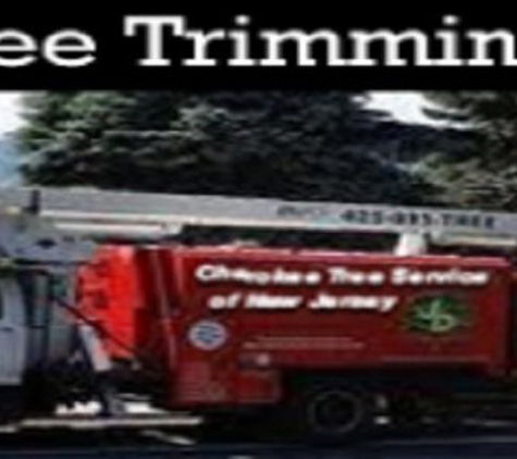 Cherokee Tree Service Of New Jersey - Leonia, NJ