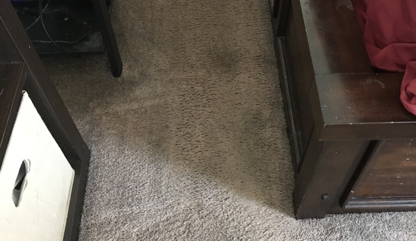 Max Impact Carpet Cleaning - Philadelphia, PA. After