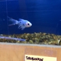 Allan's Aquarium & Pet Center