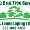WNC Cruz Tree Service gallery