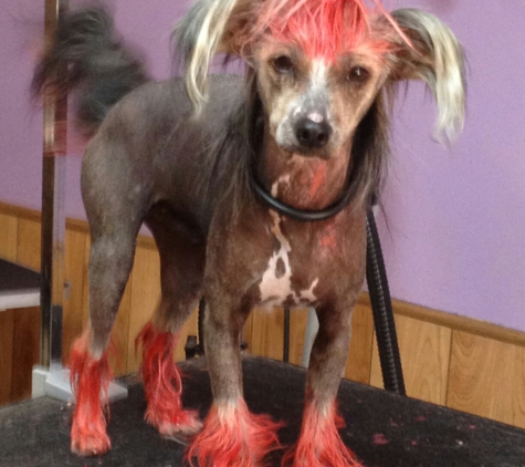 Pooches & Smooches Dog Grooming - Pocola, OK