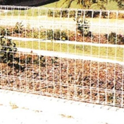 Gallery Image Number 3