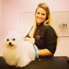 Canine Couture Pet Spa & Boarding gallery