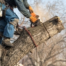 Rushton Tree Service - Tree Service