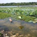 Hatchie National Wildlife Refuge - Wildlife Refuge