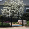 Serene Smiles of Fredericksburg gallery