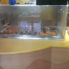Golden Krust Caribbean Bakery & Grill gallery