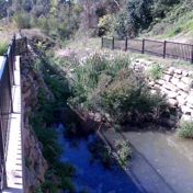 Gallery Image Number 2