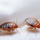 Desert Storm Pest Control - Pest Control Equipment & Supplies