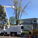 Bailey Tree LLC. - Tree Service