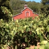 Vinwood Cellars gallery