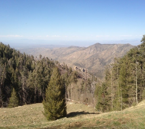 Irondoor Restaurant - Mount Lemmon, AZ