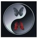 Natural Balance Massage - Massage Therapists