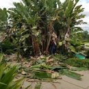 Nature's Tree Service - Tree Service