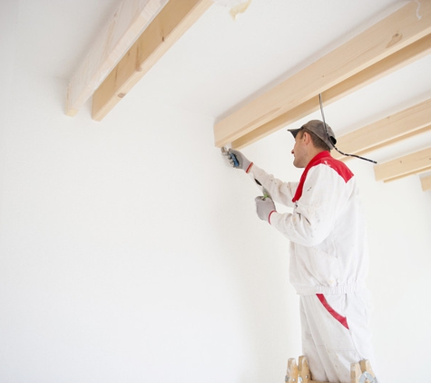 South Hills Painting Contractors - Bridgeville, PA