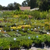 Flowerland Nursery gallery