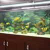 Global Aquatics & Pet Supplies gallery