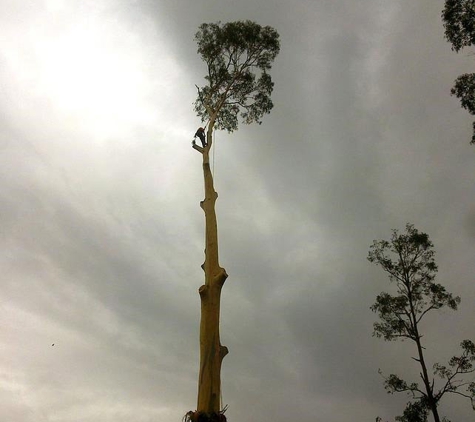 Snowy Mountains Tree Service Pty Limited - Cooma, NSW