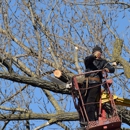 Fritz's Tree Service - Tree Service