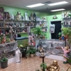 Botanica Irma gallery