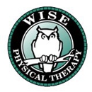 Wise Physical Therapy - Ambulance Services