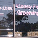 Classy Pet Grooming - Pet Grooming