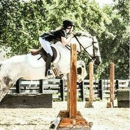 The Meadows of Murfreesboro Horse Farm - Horse Boarding