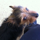 Monona Veterinary Clinic - Veterinarians