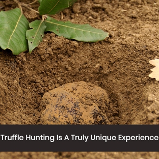 Truffle Hunting at L'air du Wombat - Oallen, NSW. Truffle Hunting Is A Truly Unique Experience