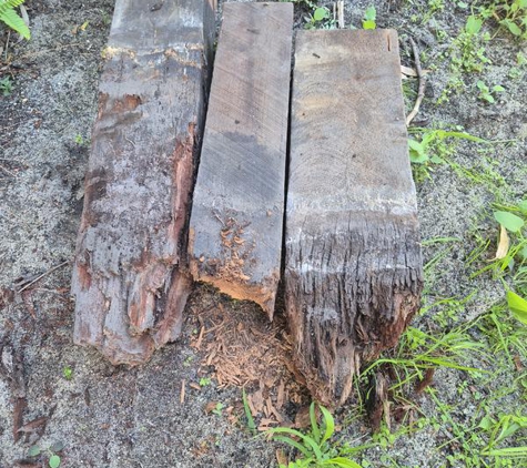 West Coast Stumping Solutions - Bayswater, WA. The old stumps Dave pulled out