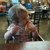 Lost Pizza Company gallery