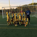 ELITE SOCCER YOUTH DEVELOPMENT ACADEMY inc - Soccer Clubs