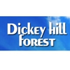 Dickey Hill Forest Apartments gallery