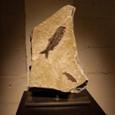 Gallery of Amazing Things