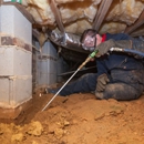 ValuePest - Pest Control Services