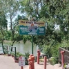 The Virgin Sturgeon gallery