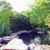 Martinez Pools and Landscaping Services gallery