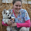 Highway Veterinary Hospital gallery