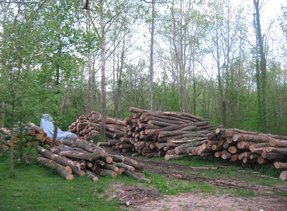 BLC FireWood - Bainbridge, OH