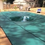 Quality Pool Maintenance and Repair