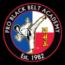 Professional Black Belt Academy - Melissa - Martial Arts Instruction
