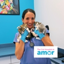 Amor Animal Hospital - Veterinarians