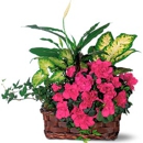 Grand Avenue Florist