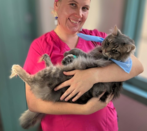 Grange Veterinary Clinic