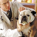 West Ave Animal Hospital - Veterinary Clinics & Hospitals