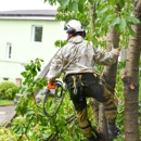 Complete Tree Care - Tree Service