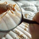 Elite Termite & Pest Control - Pest Control Equipment & Supplies