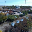 Heidrich's Colorado Tree Farm Nursery - Nurseries-Plants & Trees