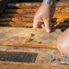 Bug Free Pest Control Inc gallery